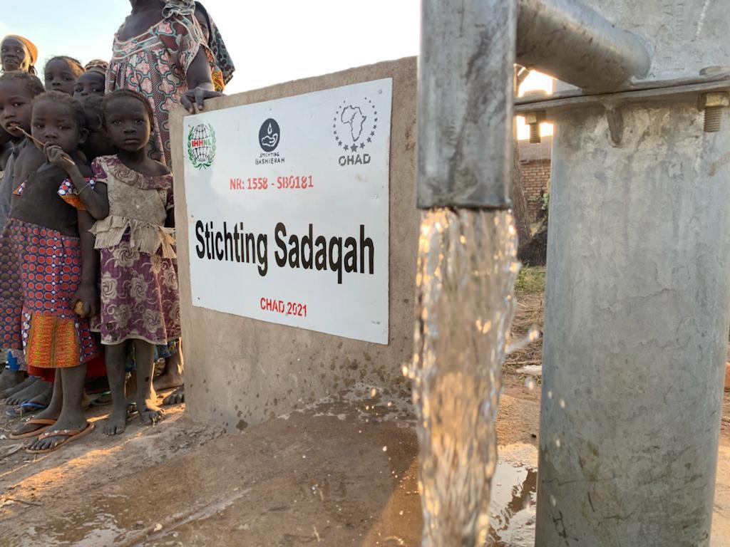 whatsapp image 2025 12 03 at 17.47.00.. whatsapp image 2025 12 03 at 17.47.00..